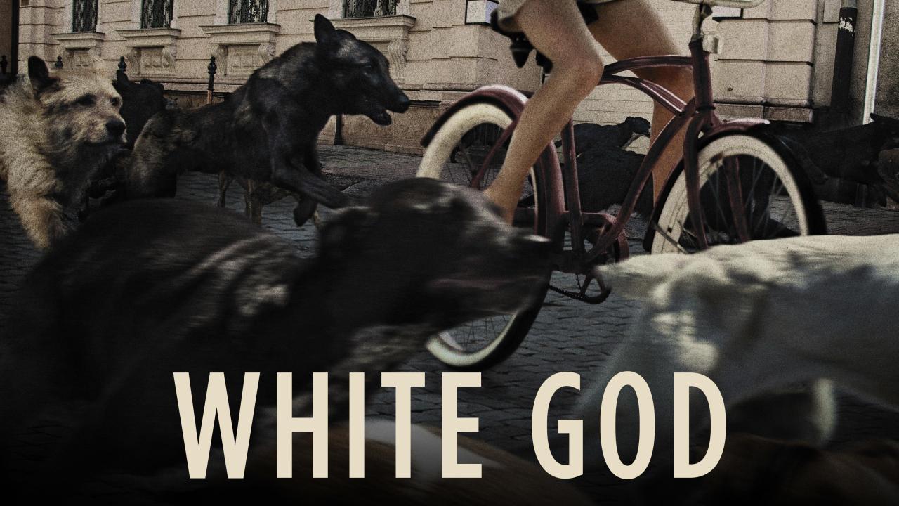 White God