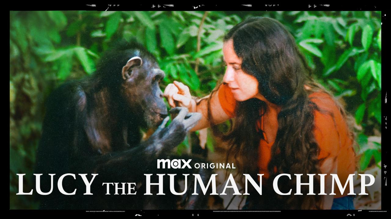 Lucy the Human Chimp