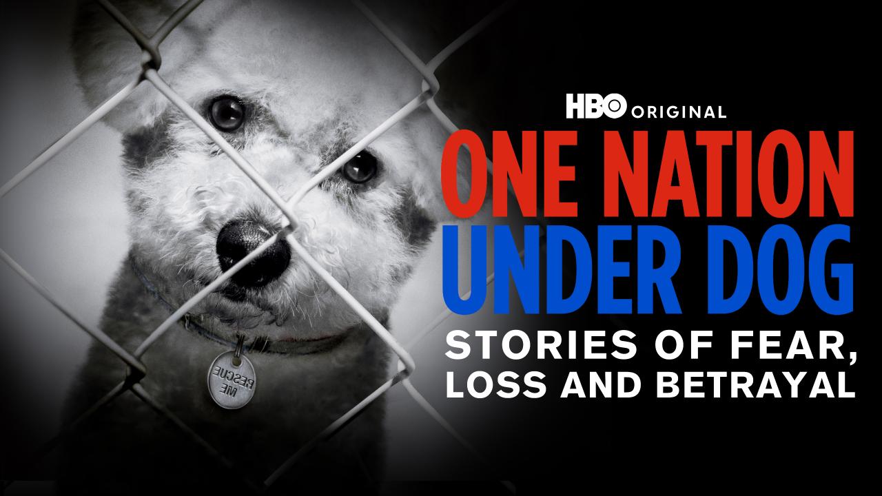 One Nation Under Dog: Stories of Fear, Loss & Betrayal