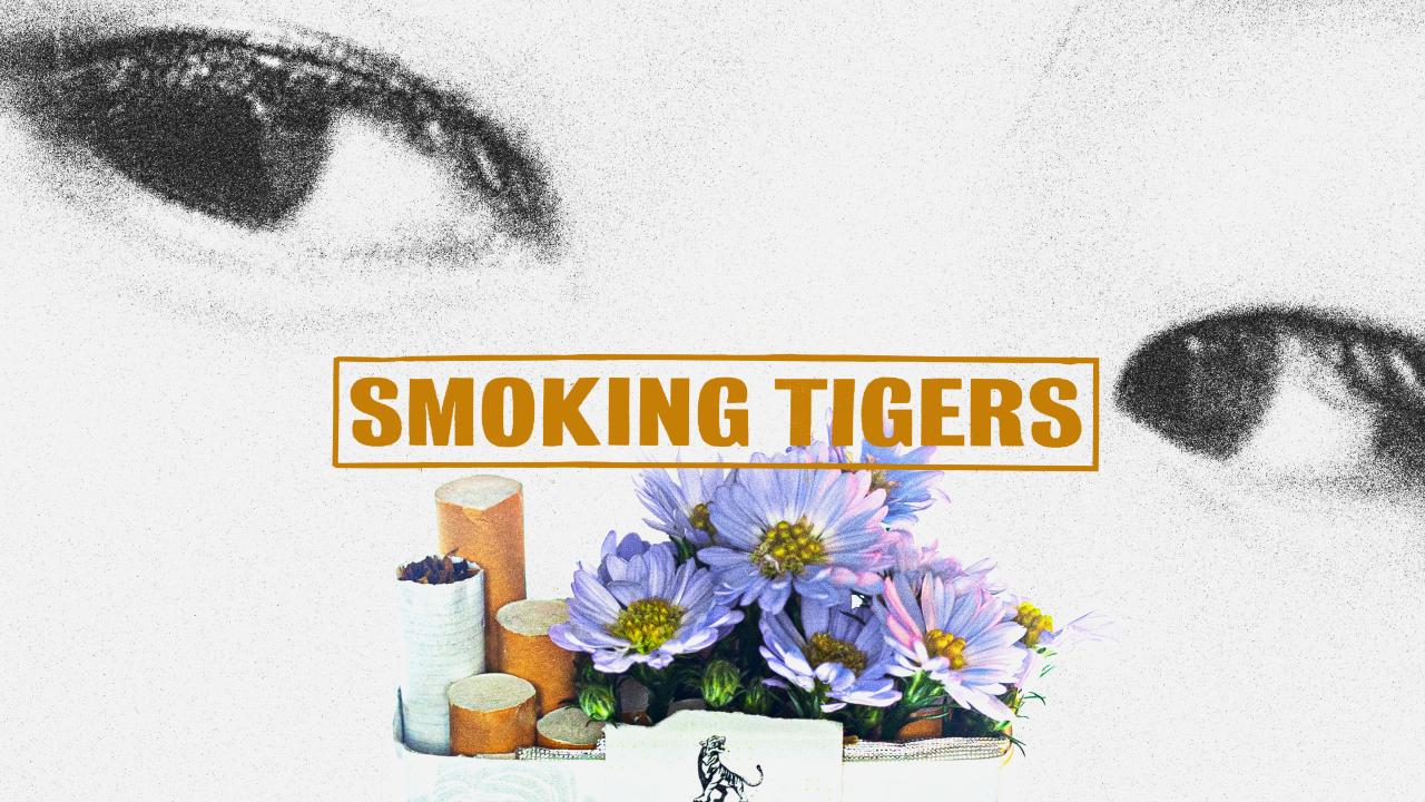 Smoking Tigers