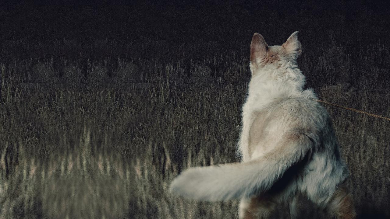 It Comes at Night