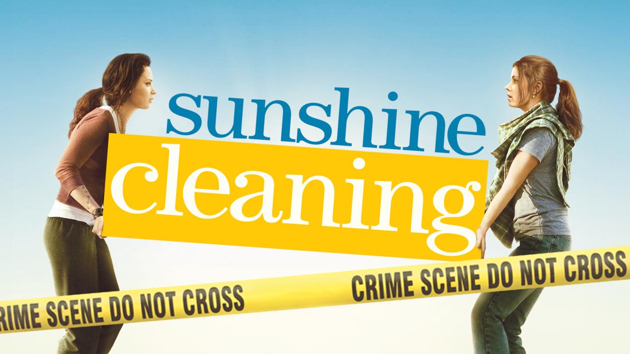 Sunshine Cleaning